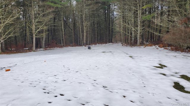 807 Beaver Brook Road, Narrowsburg, NY 12764