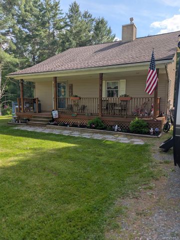 807 Beaver Brook Road, Narrowsburg, NY 12764