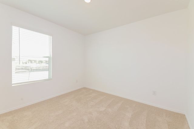 1330 Cherry Bark Drive, Princeton, TX 75407