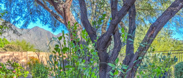 10655 E AUTUMN SAGE Drive, Scottsdale, AZ 85255