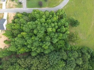 0 Lexie Lane, Lawrenceburg, TN 38464