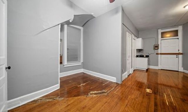 1711 S Laflin Street 1F, Chicago, IL 60608