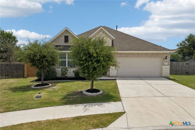 228 High Mesa Drive, Georgetown, TX 78628