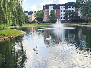 150 LAKE Boulevard 125, Buffalo Grove, IL 60089