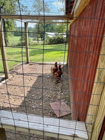 7515 Hutchens Road, Bentonville, AR 72713