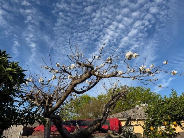 2313 San Rafael Ave, Modesto, CA 95355