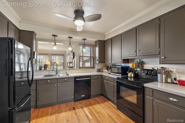 16811 Plainview Avenue, Detroit, MI 48219