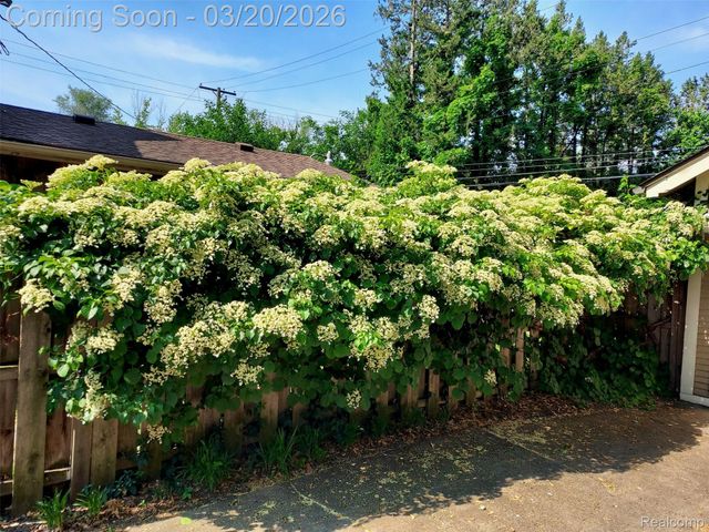 16811 Plainview Avenue, Detroit, MI 48219