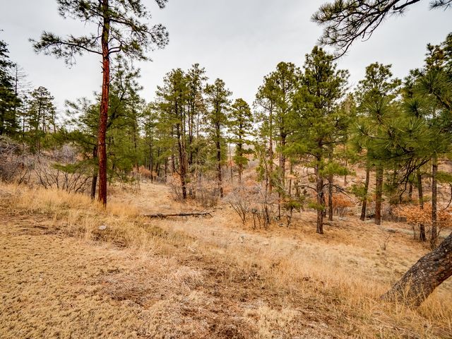 2382 33rd Street, Los Alamos, NM 87544