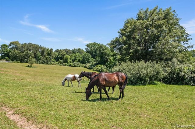 5280 Hosner Road, Oxford, MI 48370