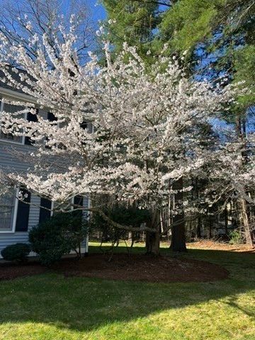 32 Millfarm Dr, Mansfield, MA 02048