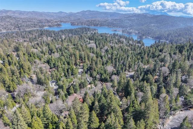 401 Grizzly Road, Lake Arrowhead, CA 92352
