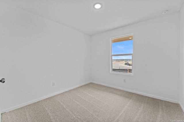 1867 Wood Warbler, New Braunfels, TX 78130