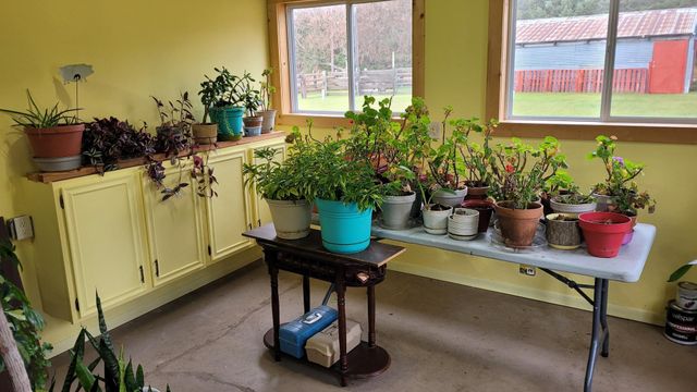 2907 24th Street SW, Pine River, MN 56474