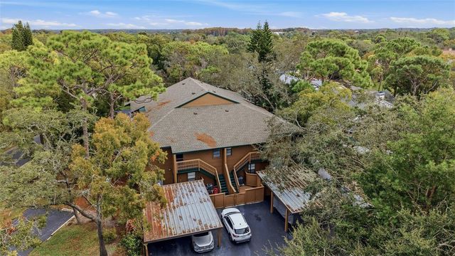 1105 LENNOX ROAD W 1105, Palm Harbor, FL 34683