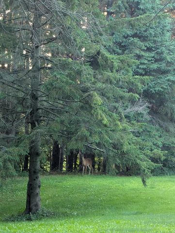 4804 County Highway VV, Two Rivers, WI 54241