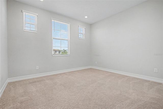 19539 ROSEATE DRIVE, Lutz, FL 33558