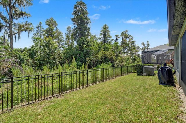 19539 ROSEATE DRIVE, Lutz, FL 33558