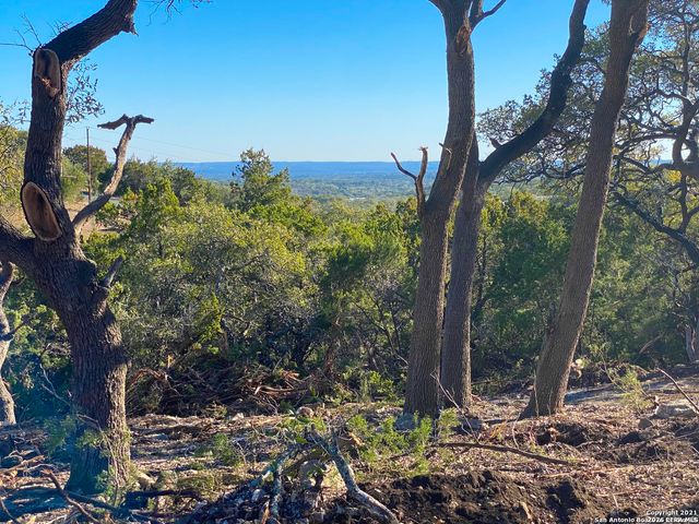 119 CHAMPION WAY, Spring Branch, TX 78070