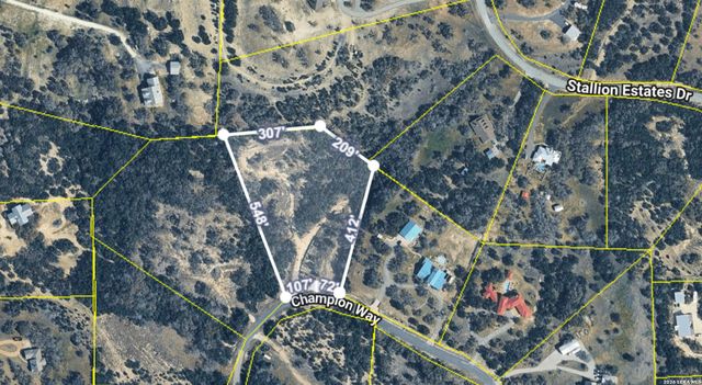 119 CHAMPION WAY, Spring Branch, TX 78070