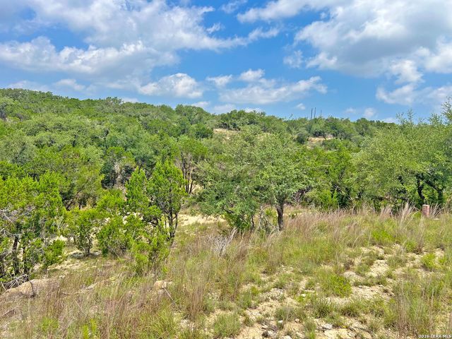 119 CHAMPION WAY, Spring Branch, TX 78070