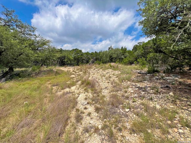 119 CHAMPION WAY, Spring Branch, TX 78070