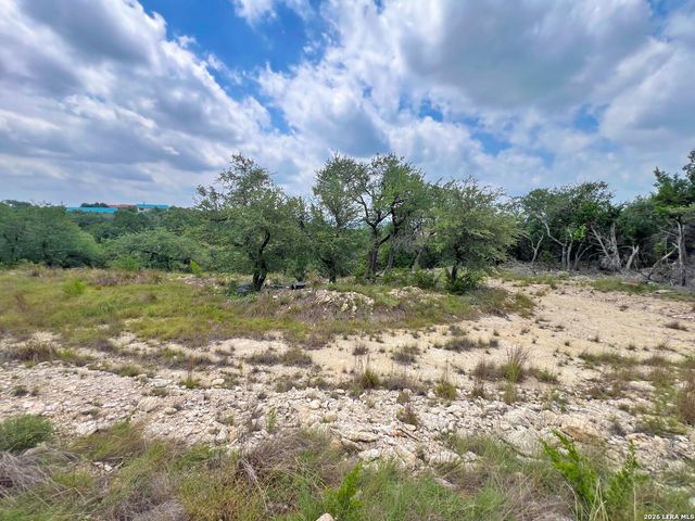 119 CHAMPION WAY, Spring Branch, TX 78070