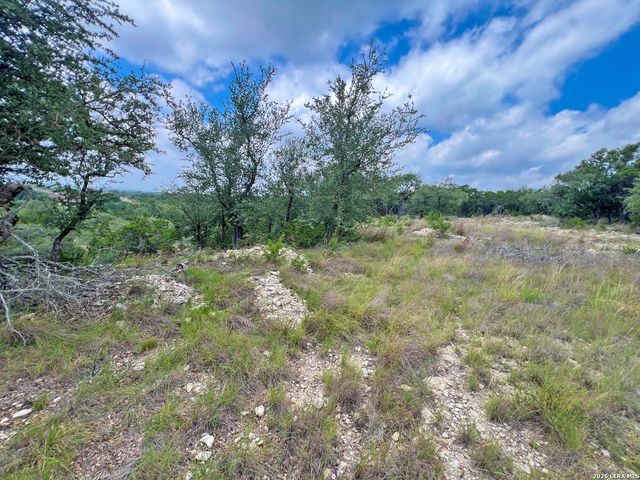 119 CHAMPION WAY, Spring Branch, TX 78070