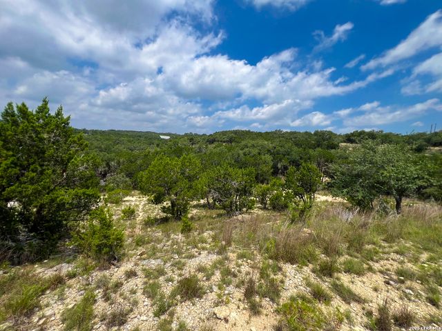 119 CHAMPION WAY, Spring Branch, TX 78070