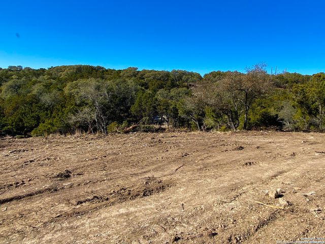 119 CHAMPION WAY, Spring Branch, TX 78070