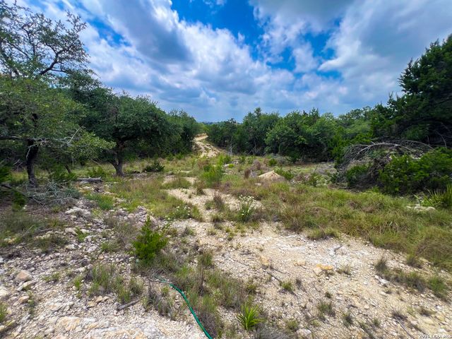 119 CHAMPION WAY, Spring Branch, TX 78070