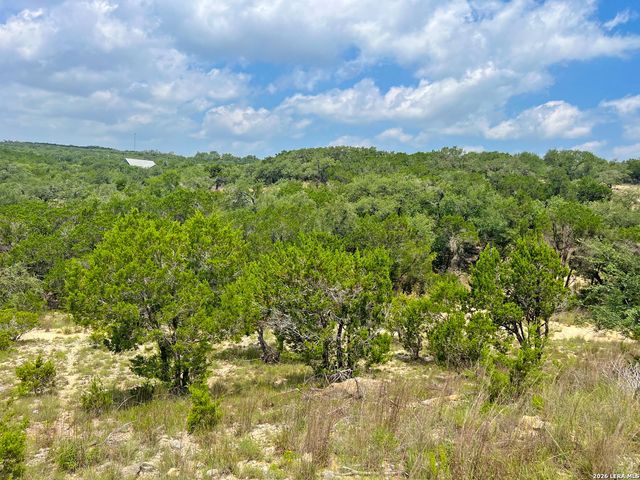 119 CHAMPION WAY, Spring Branch, TX 78070