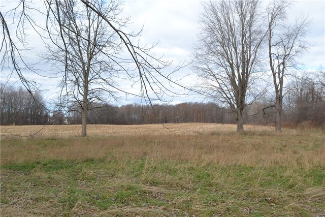 6111 Austin Road, Arcadia, NY 14513