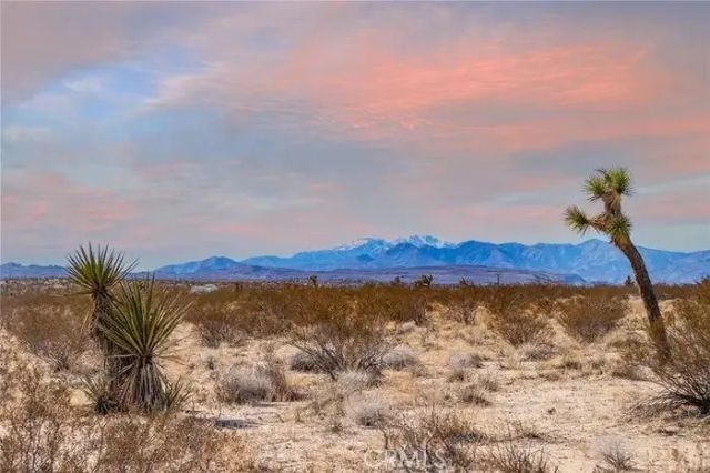 4444 Avenida La Candela, Joshua Tree, CA 92252