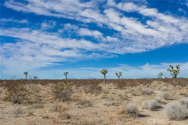4444 Avenida La Candela, Joshua Tree, CA 92252