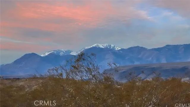 4444 Avenida La Candela, Joshua Tree, CA 92252