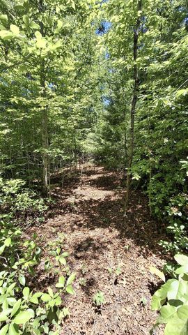 272 Kako Ridge 64, Sylva, NC 28779