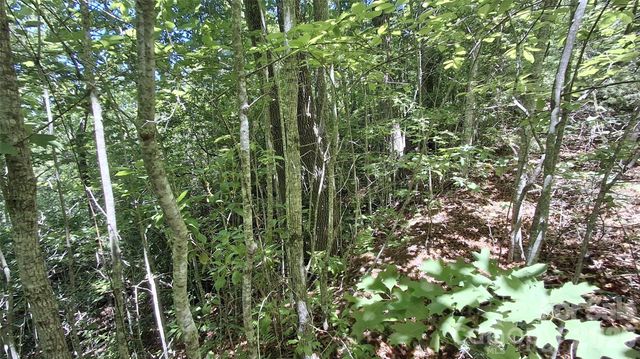 272 Kako Ridge 64, Sylva, NC 28779