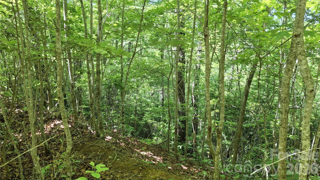 272 Kako Ridge 64, Sylva, NC 28779