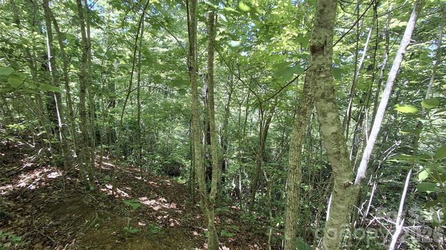 272 Kako Ridge 64, Sylva, NC 28779