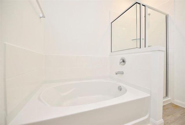 25473 Cilantro Drive, Magnolia, TX 77355