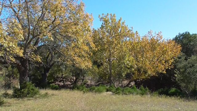 Tract 1 County Road 208, Lampasas, TX 76550