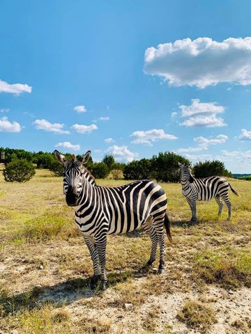 Tract 1 County Road 208, Lampasas, TX 76550