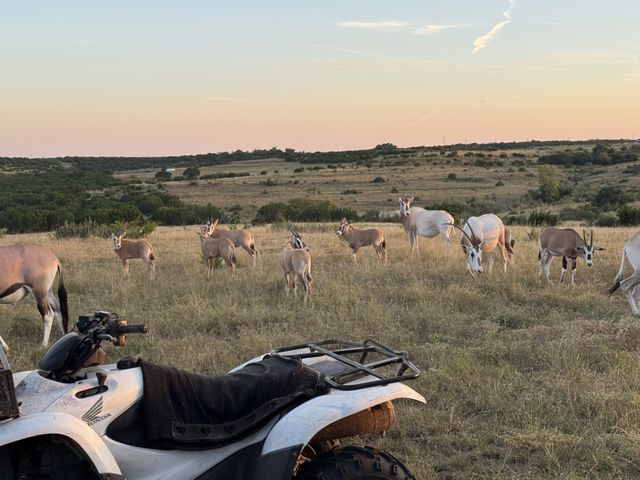 Tract 1 County Road 208, Lampasas, TX 76550