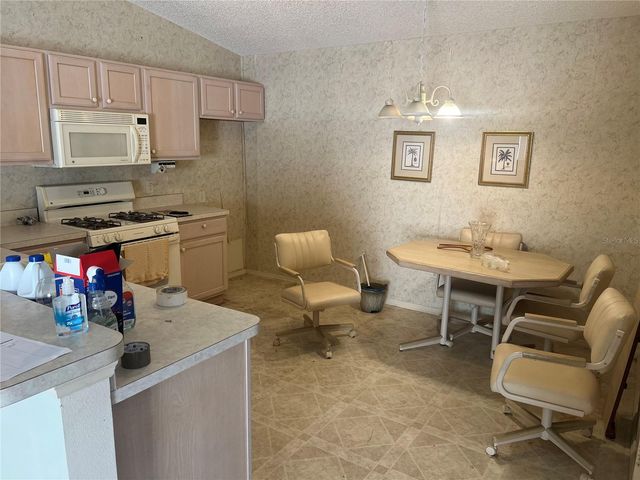 8205 SE 169TH PALOWNIA LOOP, The Villages, FL 32162