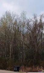 Lot 91 Rosario Dr, Baton Rouge, LA 70811