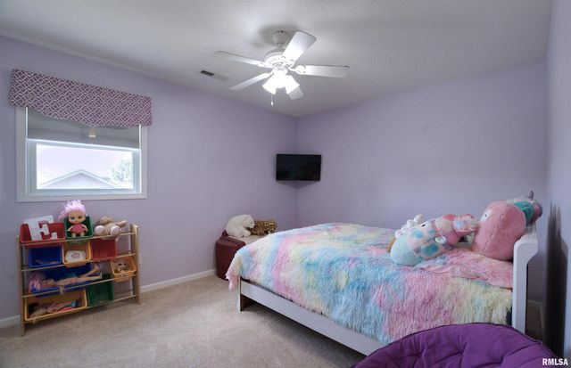 1917 11TH Street, Camanche, IA 52730