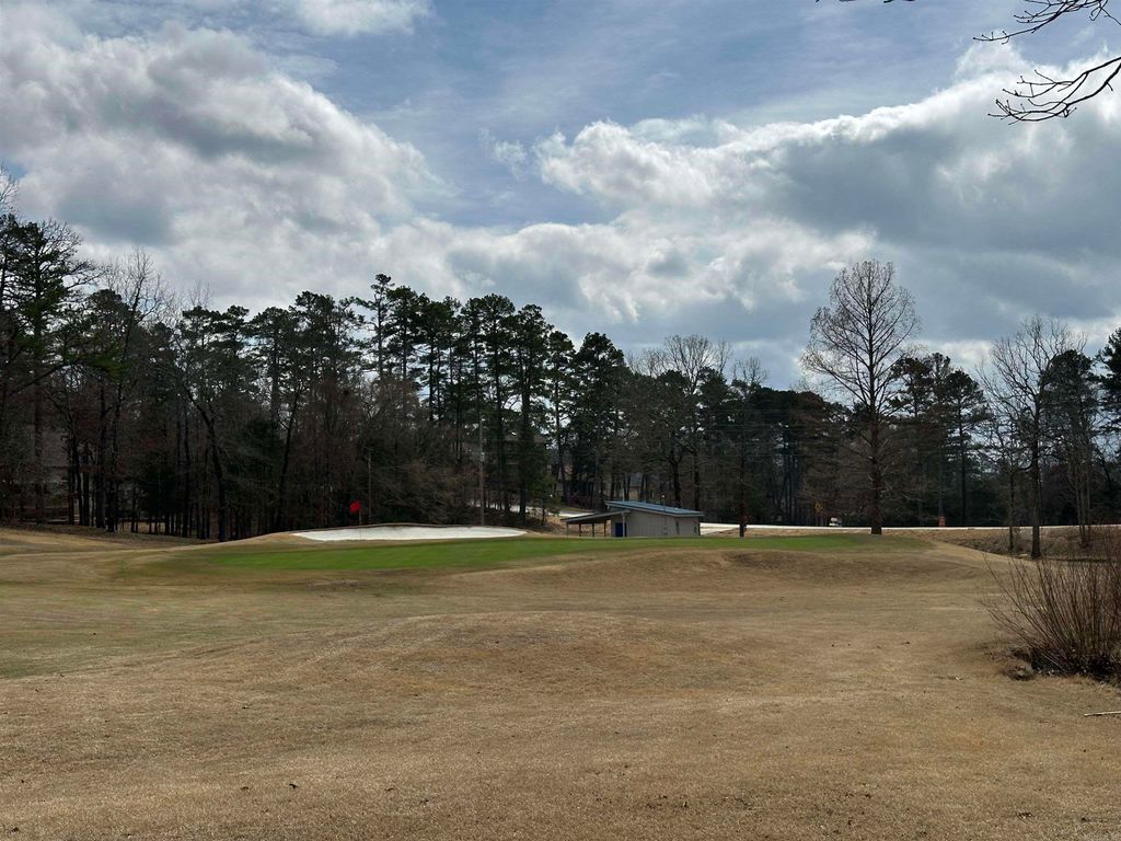 8 Pintuerero Lane, Hot Springs Village, AR 71909