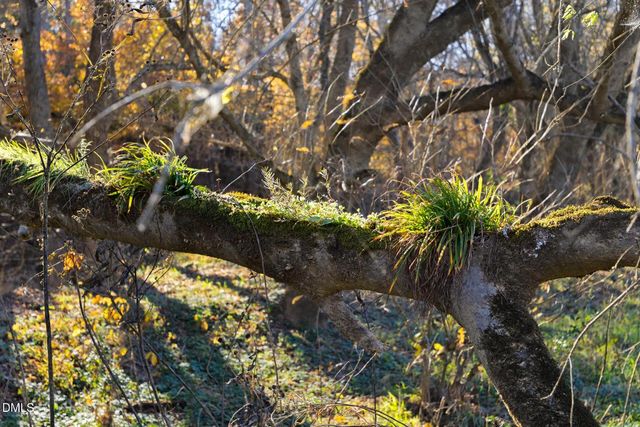 6055 River Run Trail, Graham, NC 27253