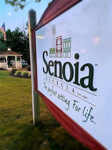 124 Morgan Street, Senoia, GA 30276